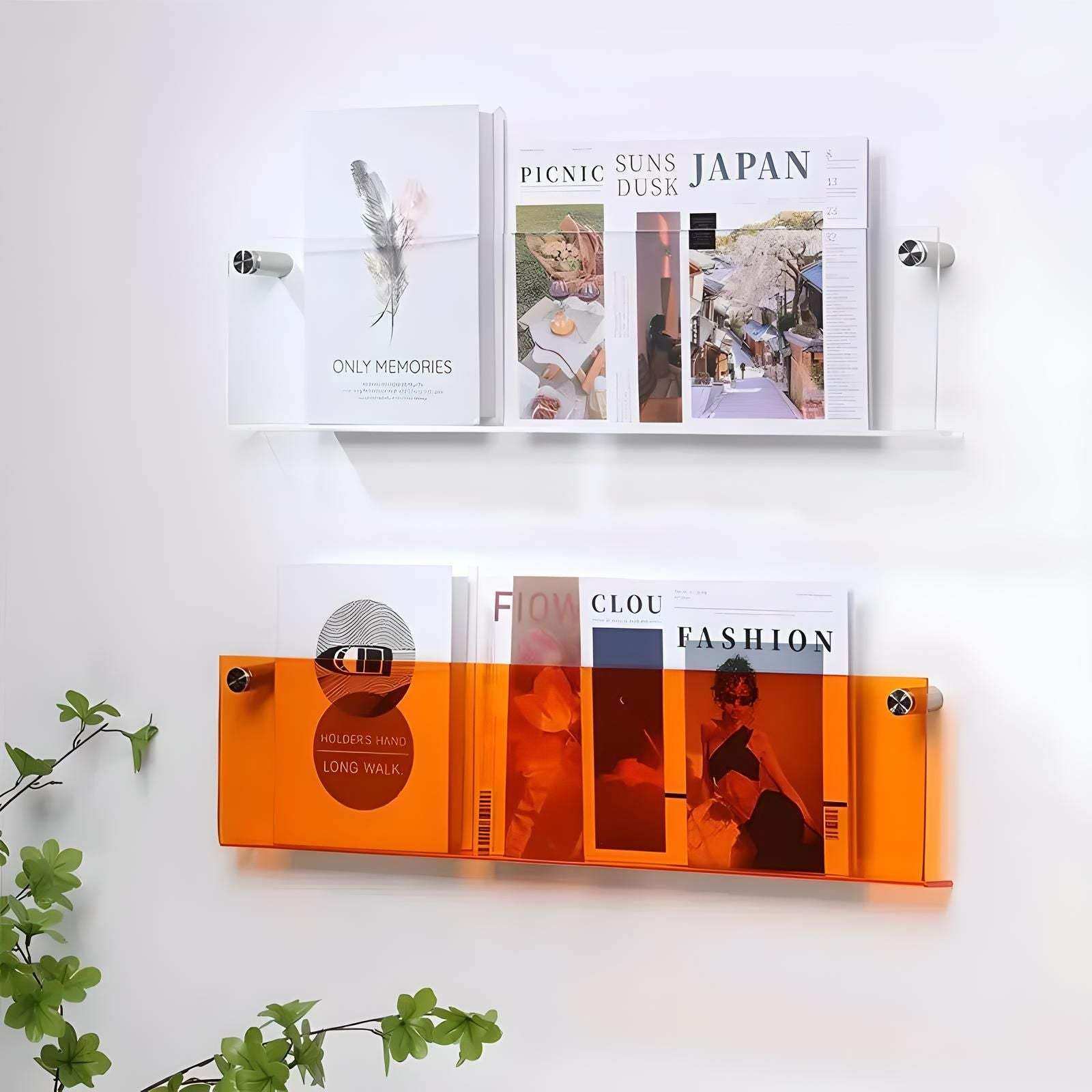 Floating Acrylic Magazine Holder mounted on a wall with books and magazines