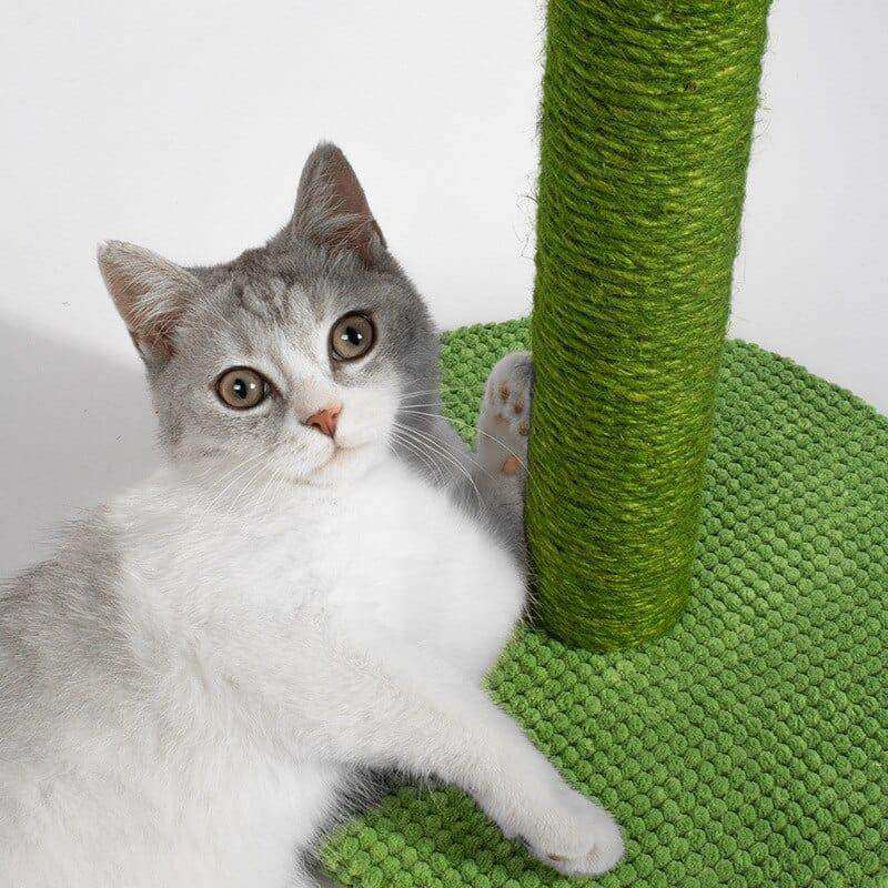 The Cactus Cat Scratching Post - Sickhaus - Quirky Home Accessories UK