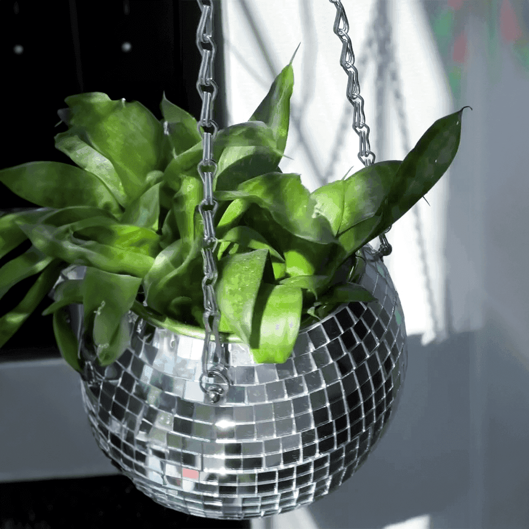The Disco Planter - Sickhaus - Quirky Home Accessories UK