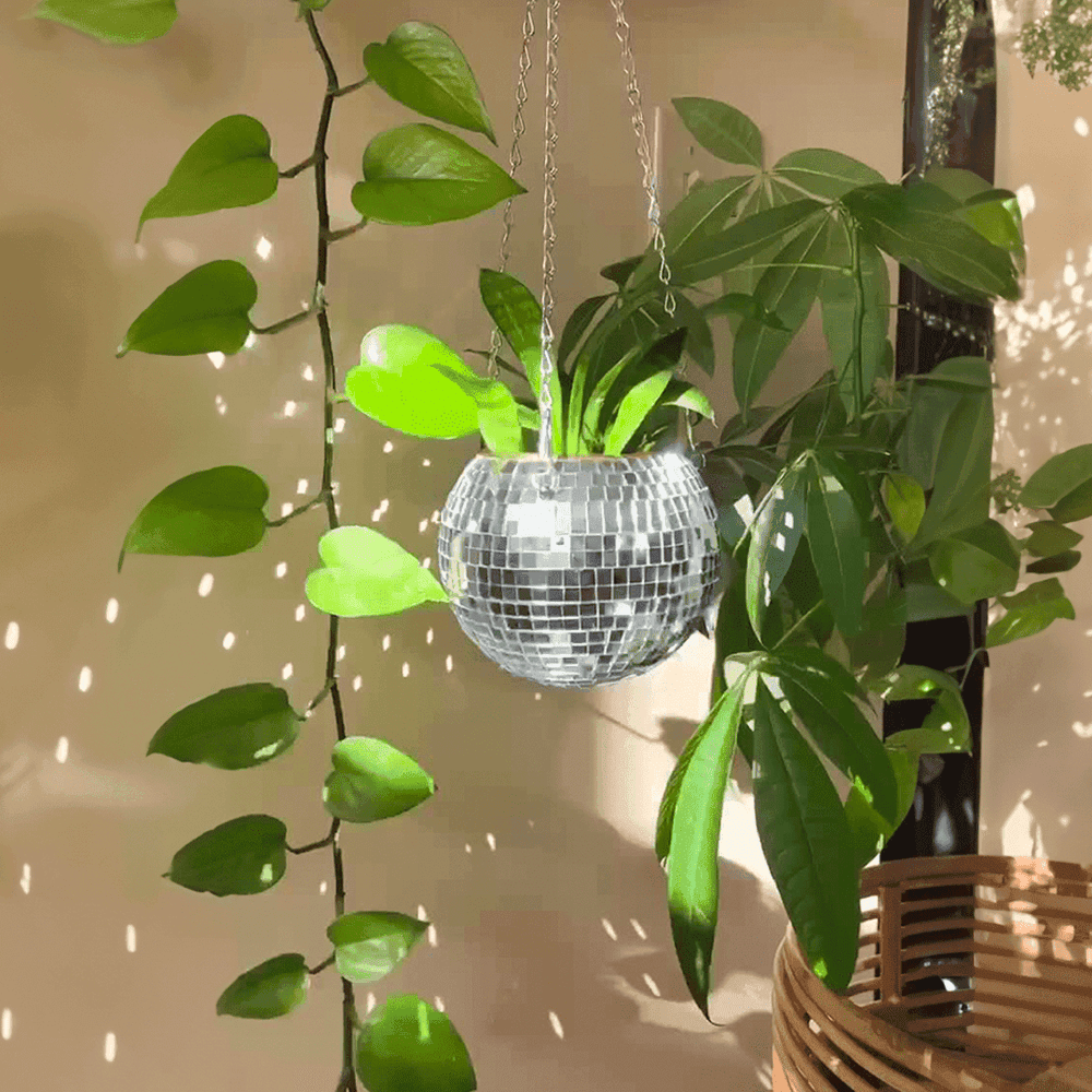 The Disco Planter - Sickhaus - Quirky Home Accessories UK