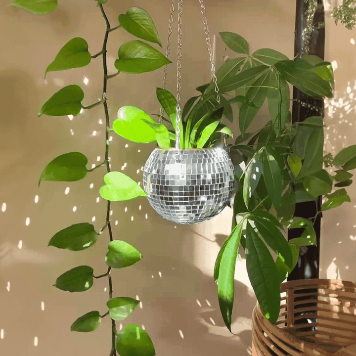 The Disco Planter - Sickhaus - Quirky Home Accessories UK