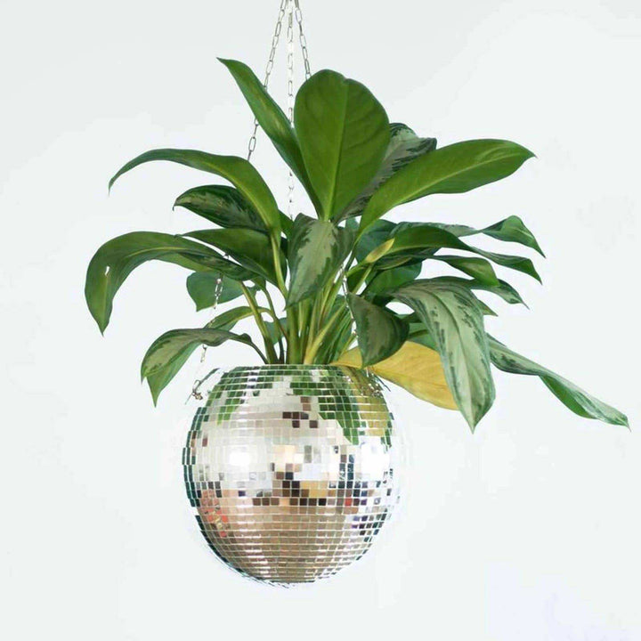 The Disco Planter - Sickhaus - Quirky Home Accessories UK